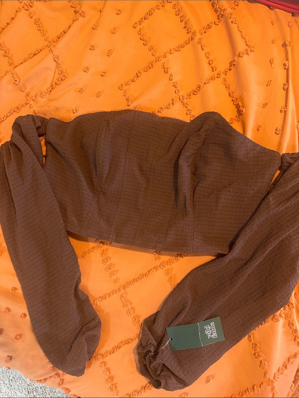Wild Fable Smocked Long Sleeve Crop Top - Brown